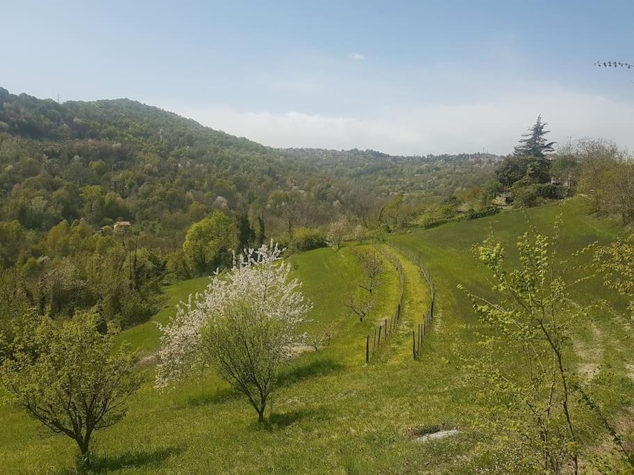 Casa Vacanza Mattirolo - Castagneto Po Buitenkant foto